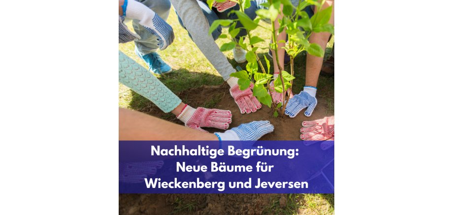 Zwischenüberschrift hinzufügen - 1