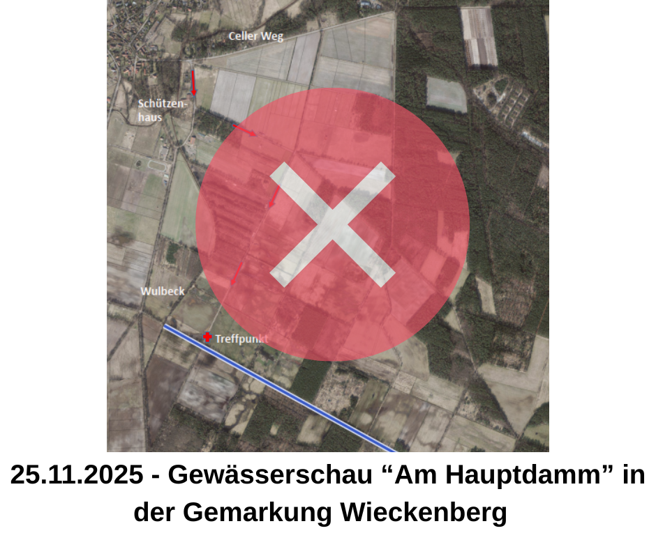 Gewässerschau - Graben am Hauptdamm - 1 Gewässerschau - Graben am Hauptdamm - 1