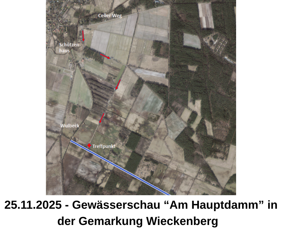 Gewässerschau - Graben am Hauptdamm - 1 Gewässerschau - Graben am Hauptdamm - 1