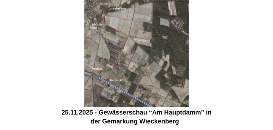 Gewässerschau - Graben am Hauptdamm - 1 Gewässerschau - Graben am Hauptdamm - 1