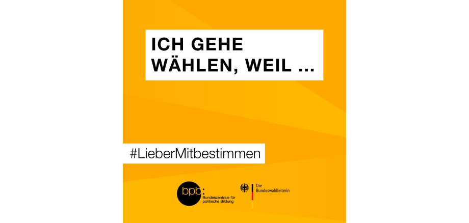 Vorlage Wahlaktivierung Insta (Quadrat) - 1