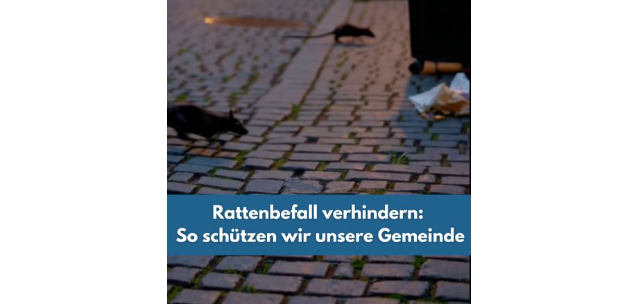 Zwischenüberschrift hinzufügen - 1