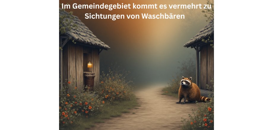 Waschbär-I - 1 Waschbär-I - 1