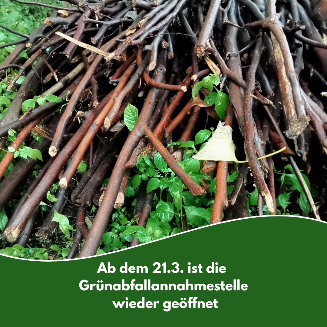 Social Media Gemeinde Wietze - 9