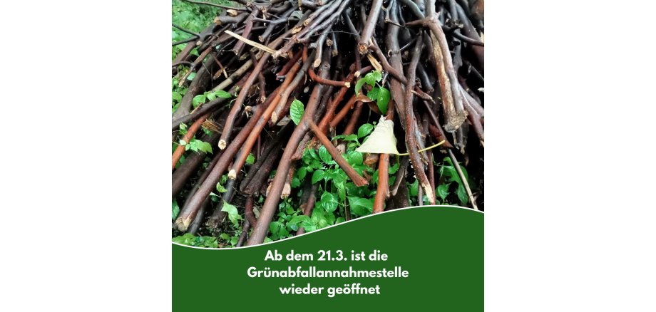 Social Media Gemeinde Wietze - 9